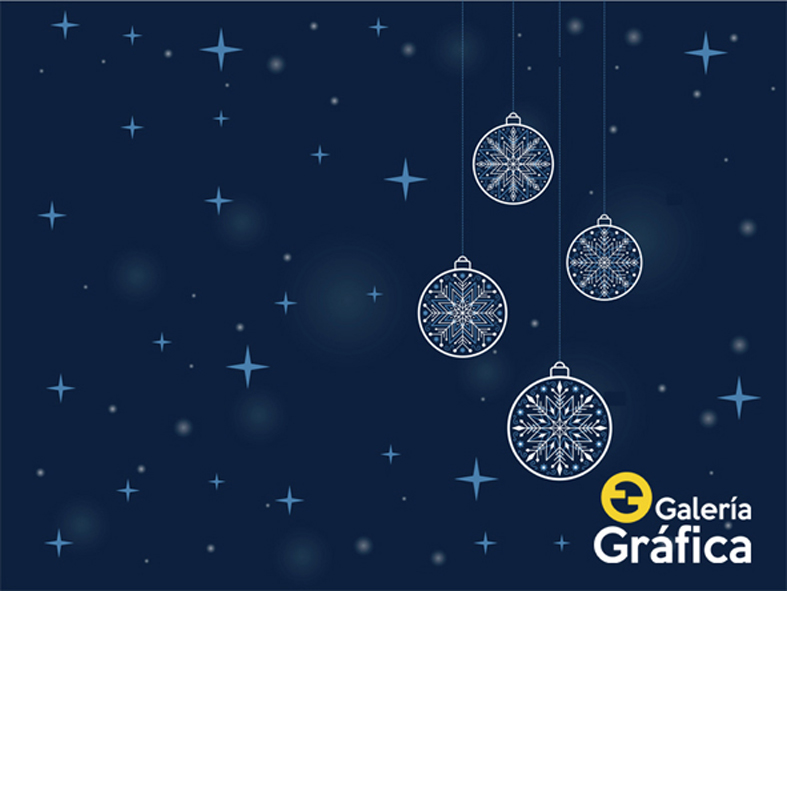 Fondo Navidad, impreso en lona blackout mate. Ideal sesiones fotográficas.