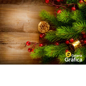 Fondo Navidad, impreso en lona blackout mate. Ideal sesiones fotográficas.