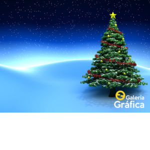 Fondo Navidad, impreso en lona blackout mate. Ideal sesiones fotográficas.