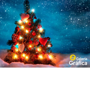 Fondo Navidad, impreso en lona blackout mate. Ideal sesiones fotográficas.