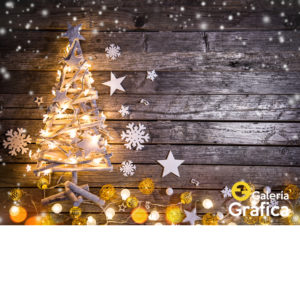 Fondo Navidad, impreso en lona blackout mate. Ideal sesiones fotográficas.