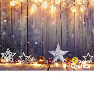 Fondo Navidad, impreso en lona blackout mate. Ideal sesiones fotográficas.