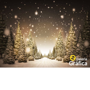 Fondo-Navidad-84