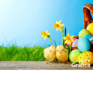 Fondo-Pascuas-02