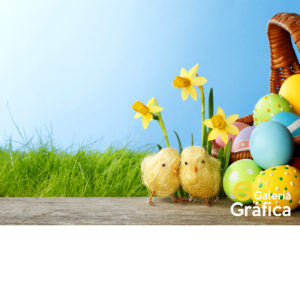 Fondo Pascuas 02