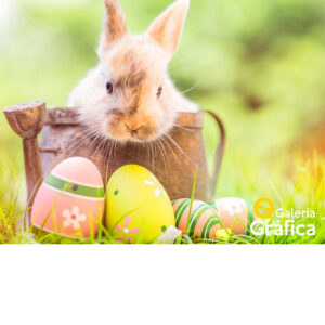 Fondo-Pascuas-04