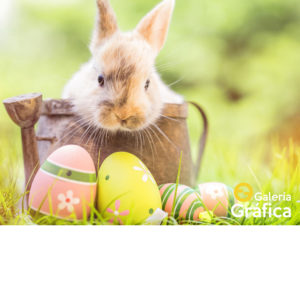 Fondo Pascuas 04