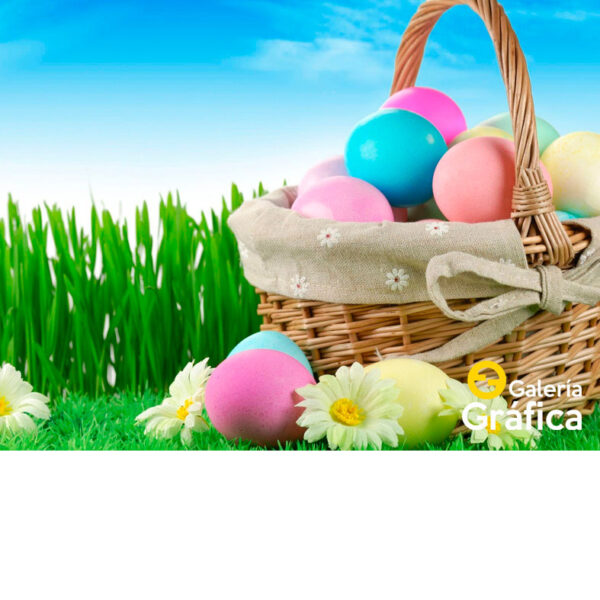 Fondo-Pascuas-05