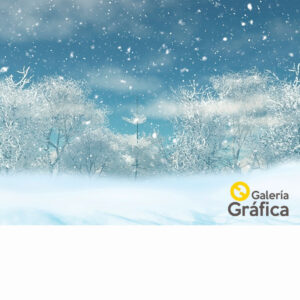 Fondo de Invierno 06