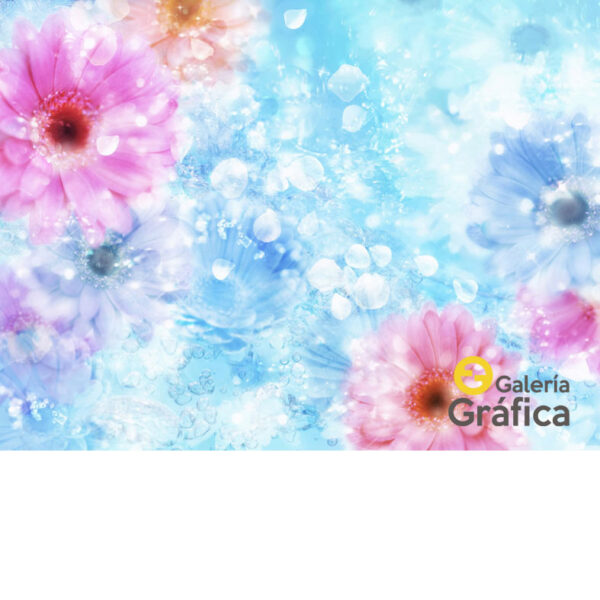Fondo Flores 01