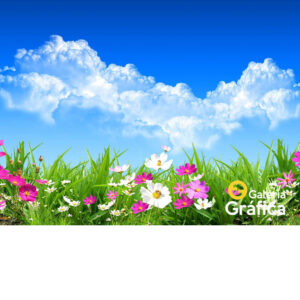 Fondo Flores 03