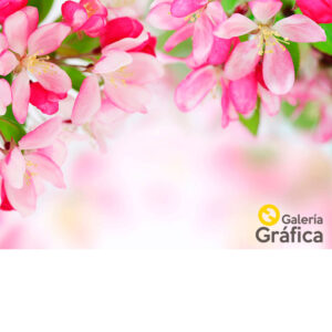Fondo flores 16