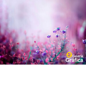 Fondo flores 19
