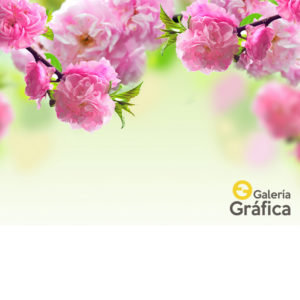 fondo flores 28