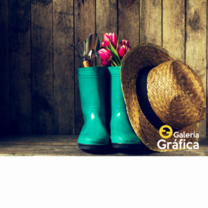 Fondo de Jardinería 01