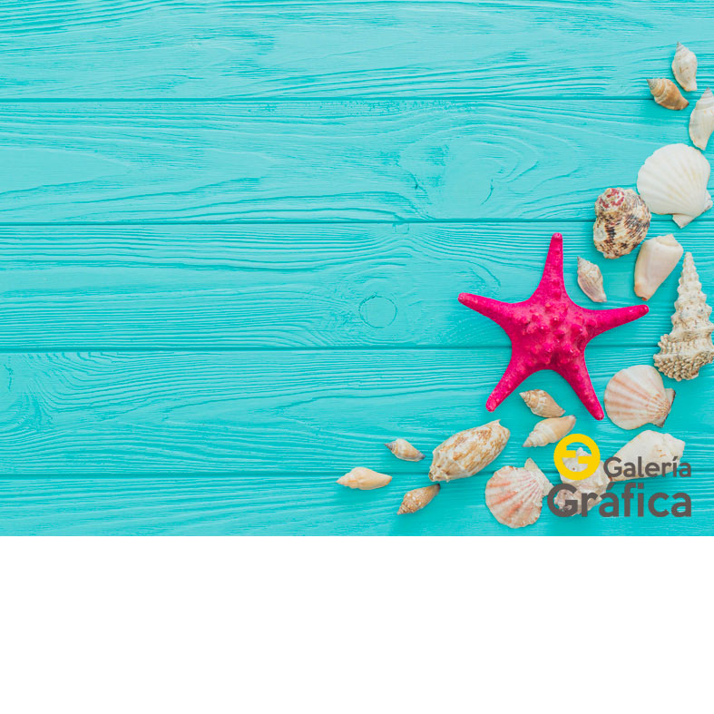 Fondo Mar Playa 15 Fondo Mar Playa 15