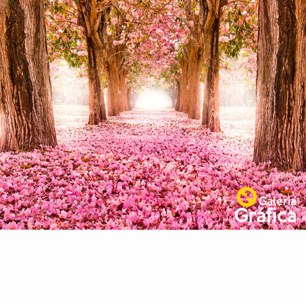 Fondo Paisaje 7