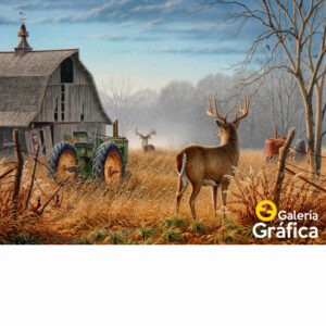 Fondo Paisaje 11