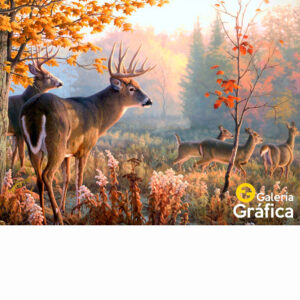 Fondo Paisaje 12