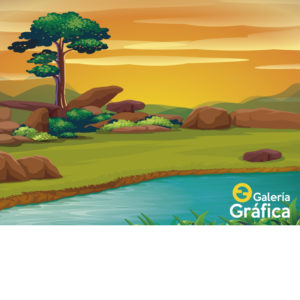 Fondo Selva 06