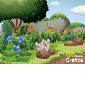 Fondo Selva 09