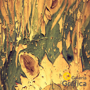 Texturas FP 03