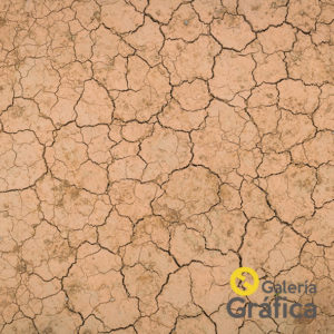 Texturas FP 12