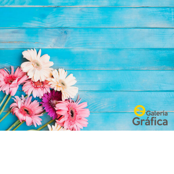 Fondo Flores 36