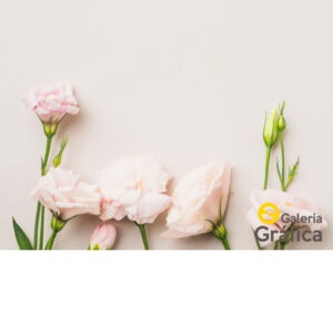 Fondo Flores 37