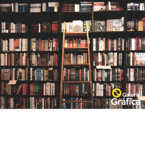 Fondo Biblioteca 01