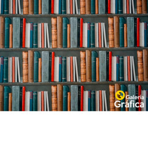 Fondo Biblioteca 02