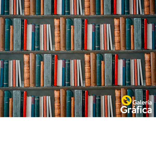 Fondo Biblioteca 02