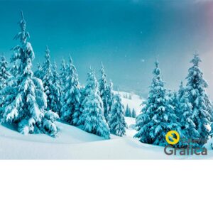 Fondo-invierno-08
