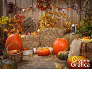 Fondo-Haloween-03