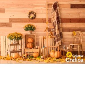 Fondo-Haloween-04