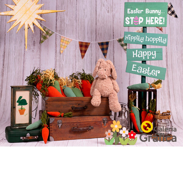 Fondo-Pascuas-15